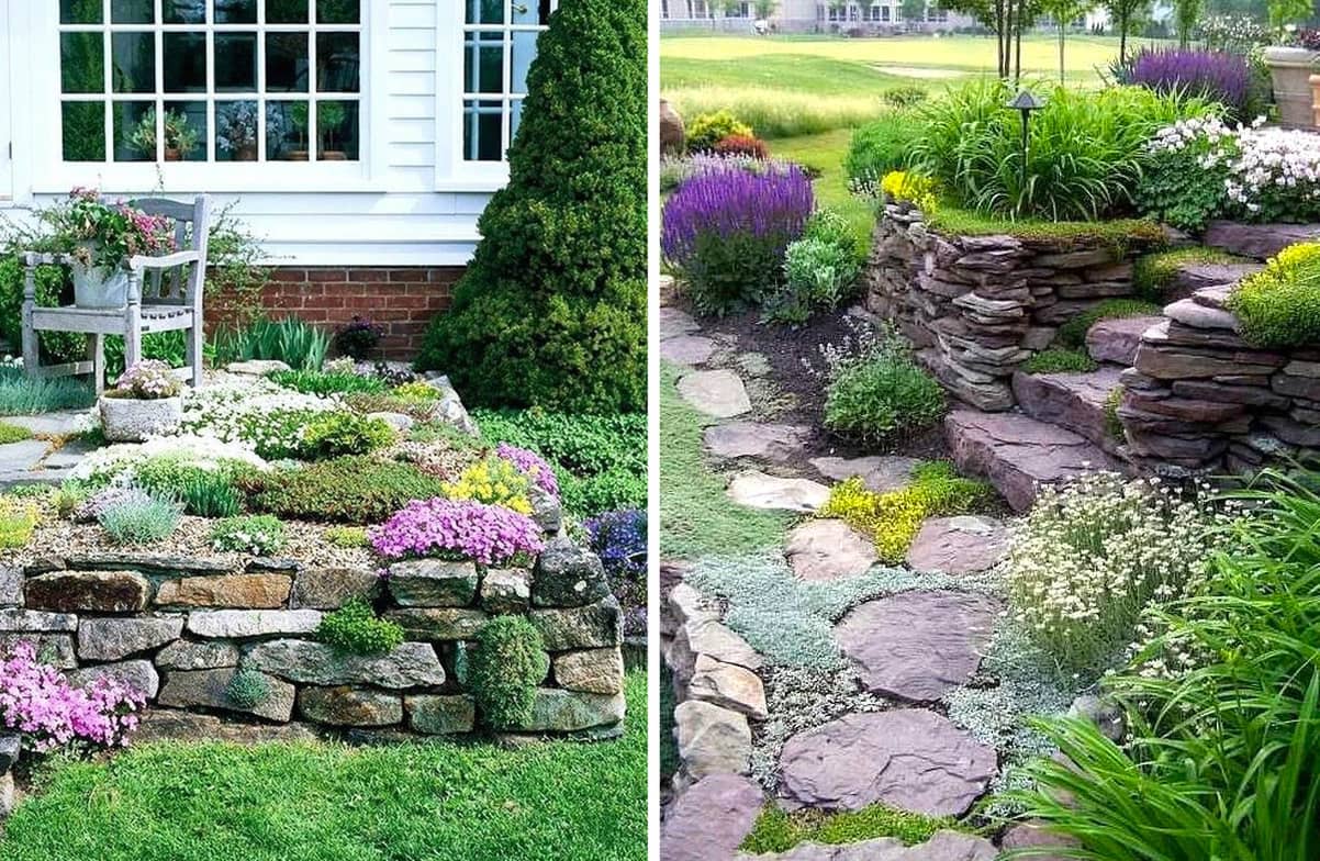 DIY Alpine Rock Garden: Create a Charming Corner in Your Yard