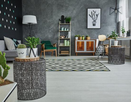 a living room with cactus plants and a black wall.