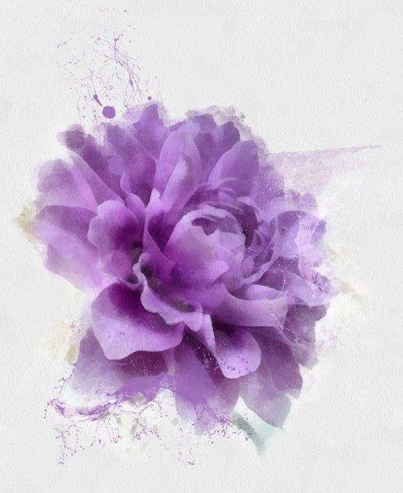 a watercolor painting of a purple flower on a white background.