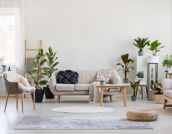 a living room with a lot of plants and furniture.