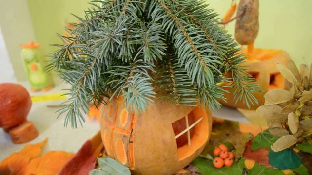 A pumpkin with a pine tree in it on a table.