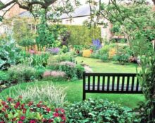 A garden with a bench and lots of flowers.