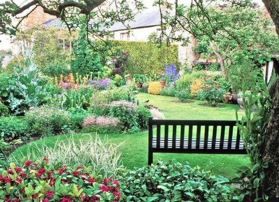 A garden with a bench and lots of flowers.