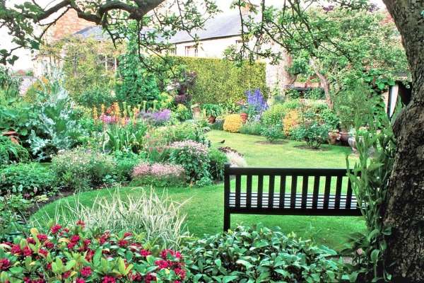 A garden with a bench and lots of flowers.