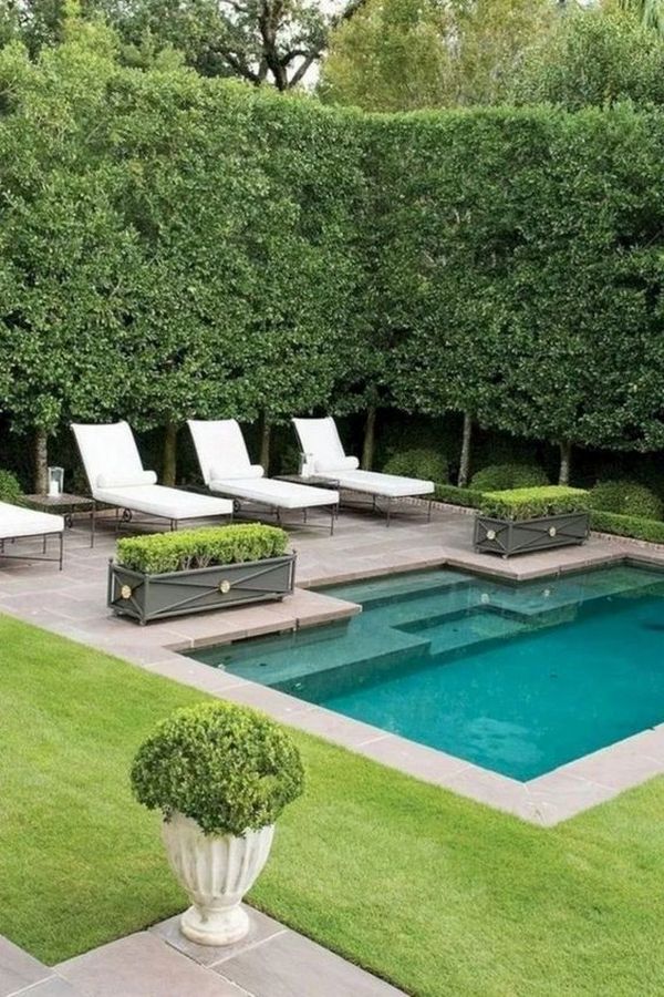 A small backyard with a pool and lounge chairs.