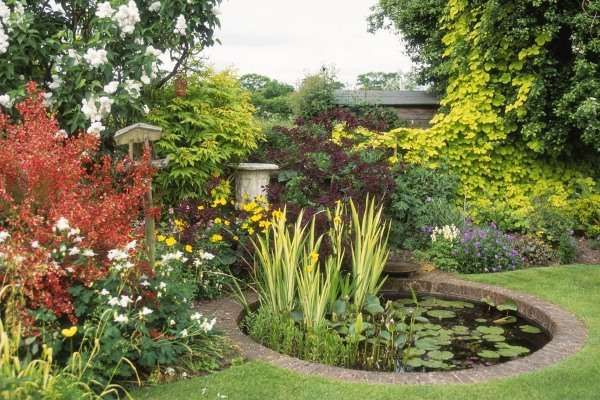 A garden with a pond and colorful flowers.