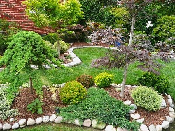 A small backyard with a rock garden and trees.