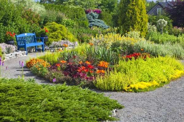 A garden with a blue bench and colorful flowers.