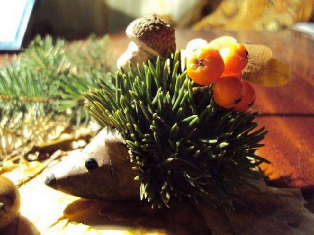 A hedgehog sitting on a table with berries and pine cones.