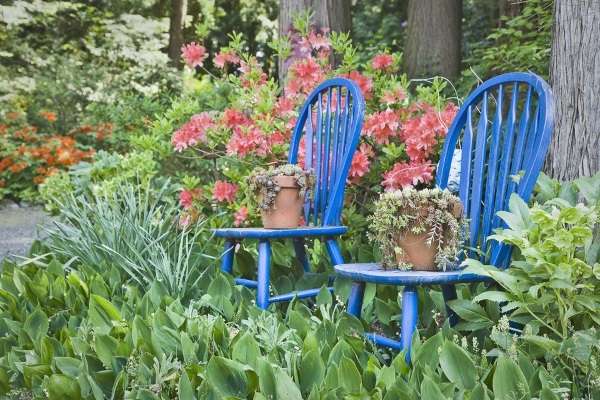 Two blue chairs in a garden with flowers.