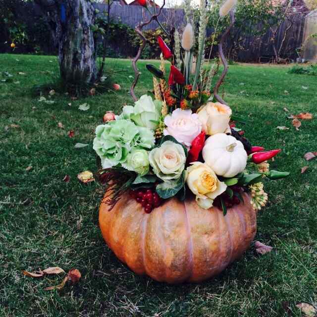 An arrangement of flowers in a pumpkin.