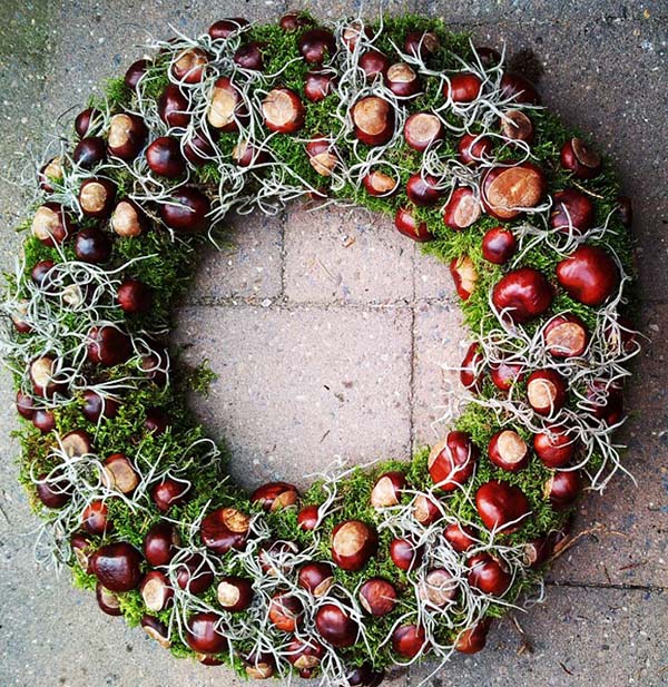 A wreath made of chestnuts and moss.