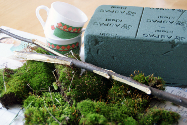 A mug with moss on it sits on a table.