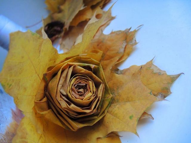 A yellow rose is sitting on top of a piece of paper.