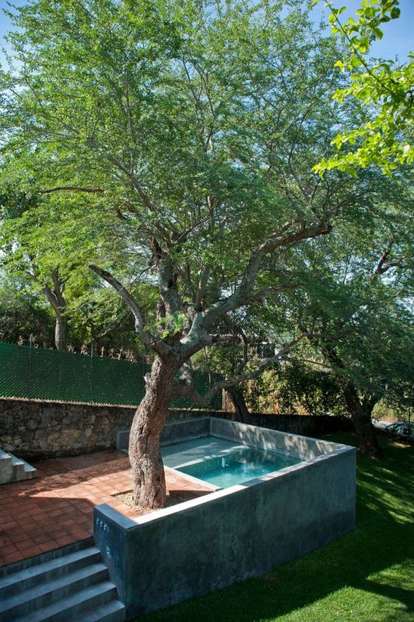 A pool with a tree next to it.