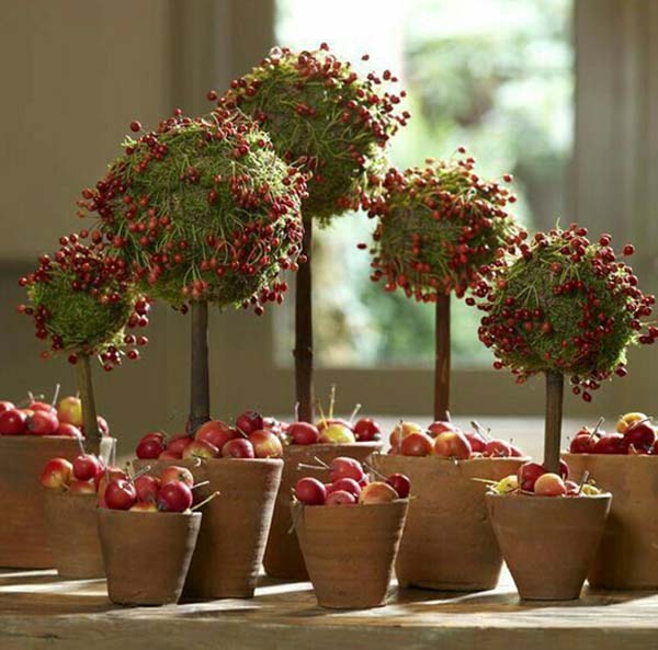 A group of potted trees with berries in them.