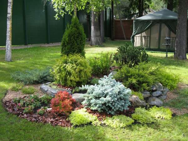 A small garden with a gazebo and shrubs.