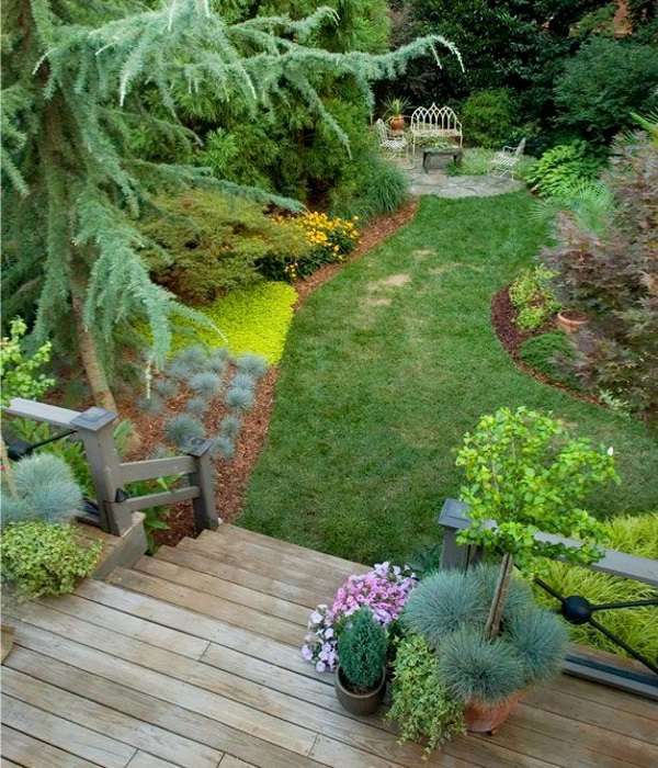 A small backyard with a wooden deck and plants.