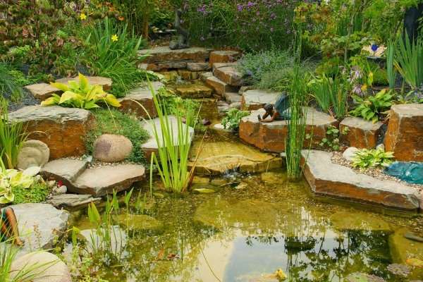 A pond in a garden with rocks and plants.