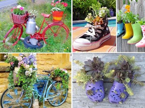 A collage of pictures showing different types of plants and bicycles.