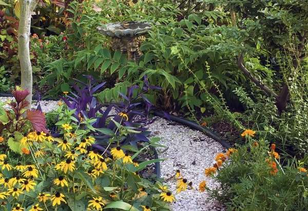 A garden with a gravel path and a birdbath.