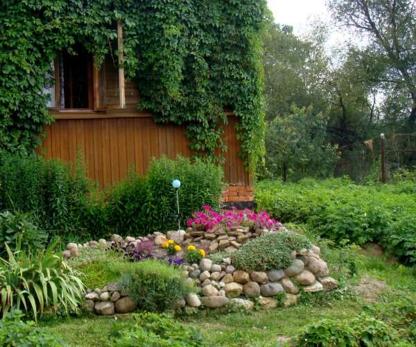 A small garden with rocks and ivy growing on it.