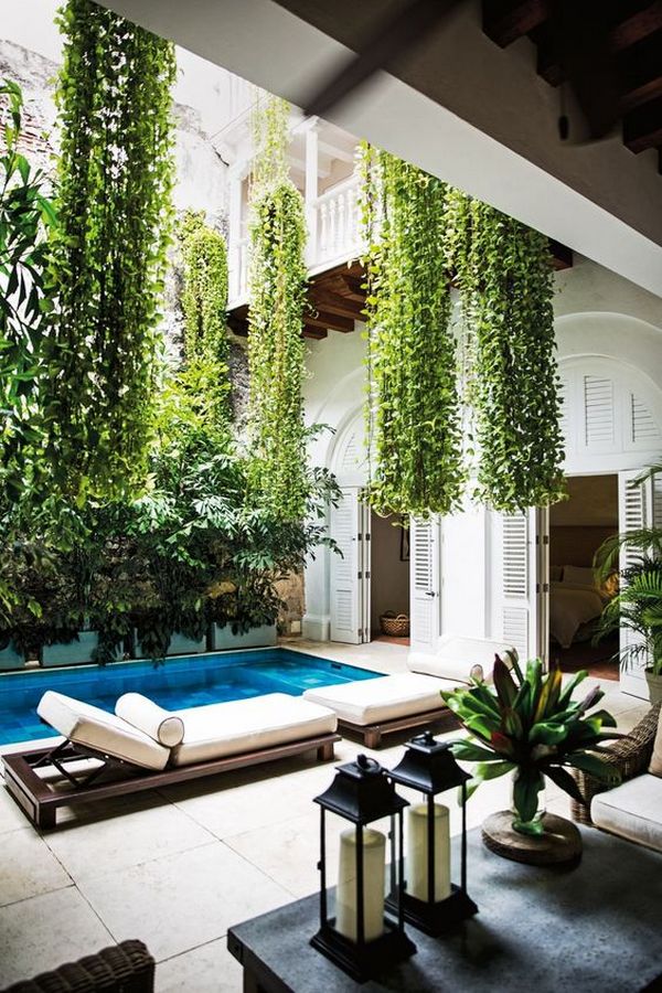 A courtyard with a pool and plants hanging from the ceiling.