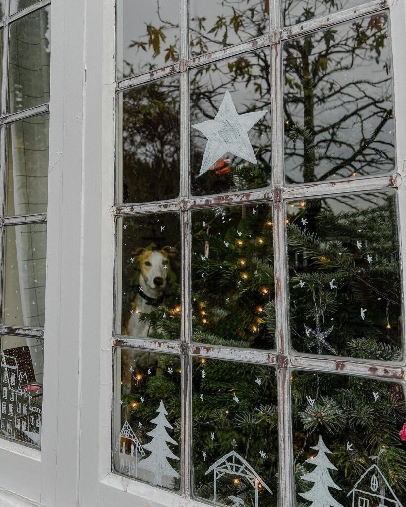 A dog looking out of a window with christmas decorations.