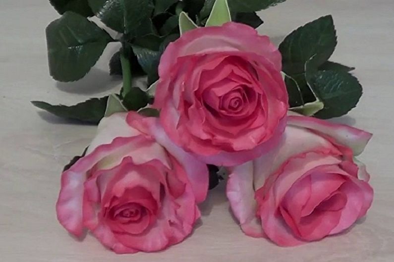 Three pink roses are sitting on a table.