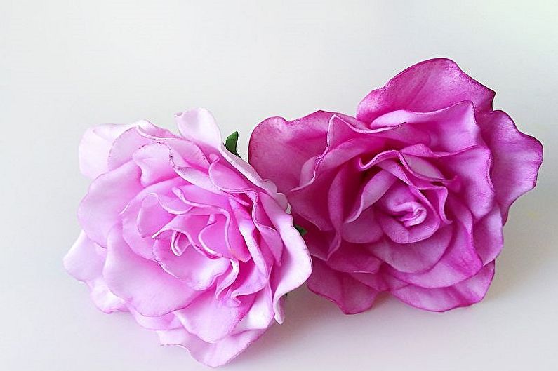 Two pink roses on a white surface.