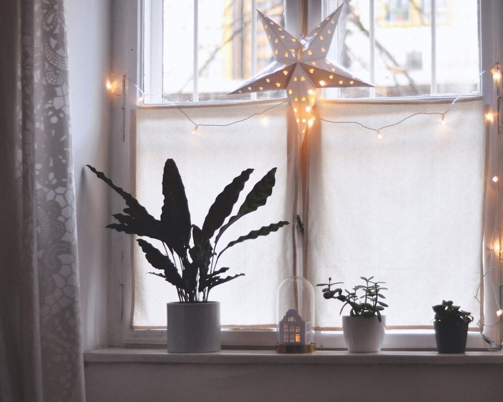 A window sill with potted plants and string lights.