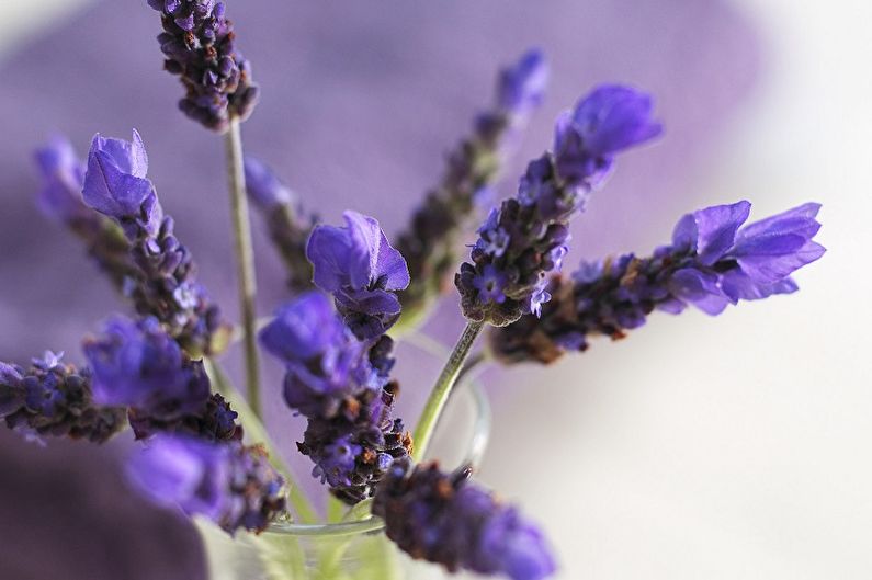 Lavender flowers in a vase on a table.