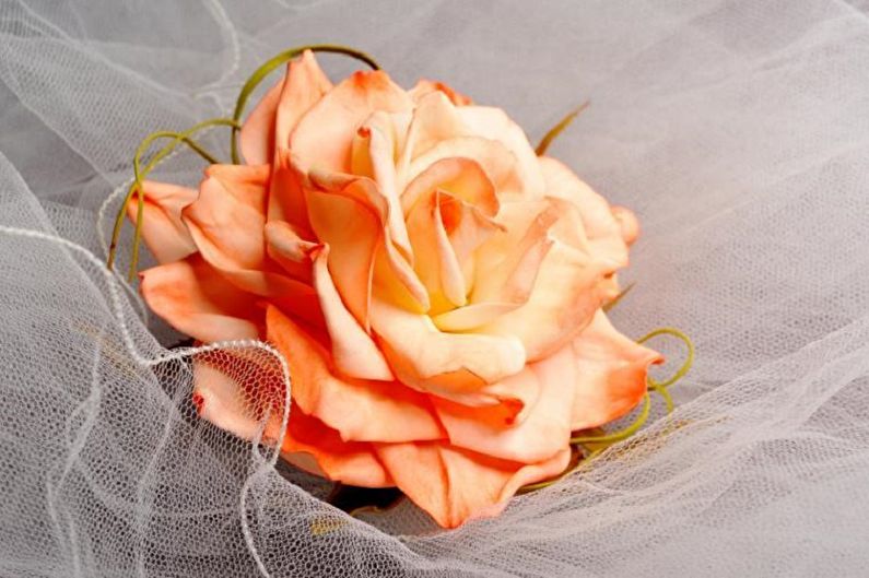 An orange rose sits on top of a veil.