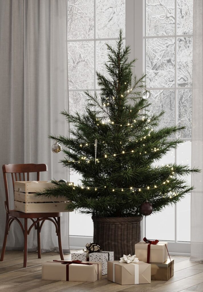 A christmas tree in front of a window.