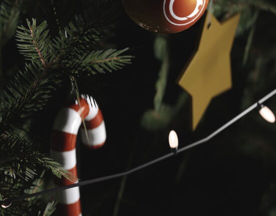 A christmas tree with ornaments on it.