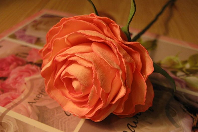 An orange rose sits on top of a piece of paper.