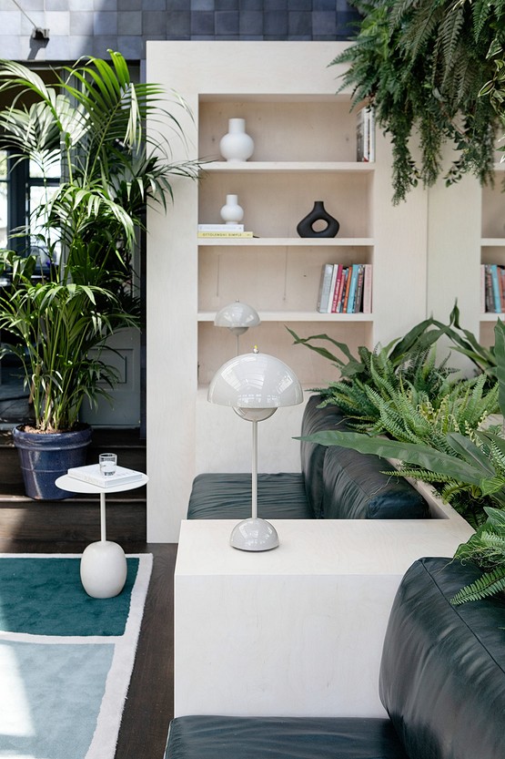 A living room with bookshelves and plants.